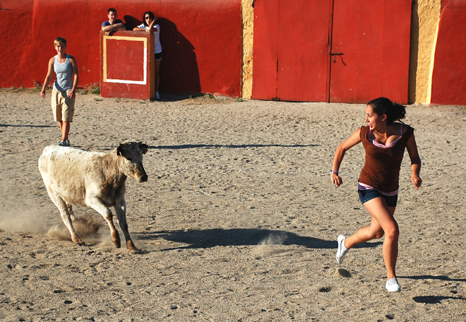 İspanya boğa güreşi video 11 İspanya boğa güreşi video