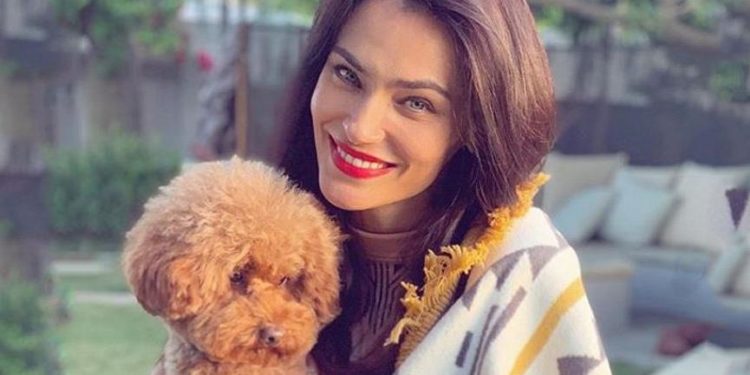 Saadet Işıl Aksoy bebek haberini işte bu pozla verdi