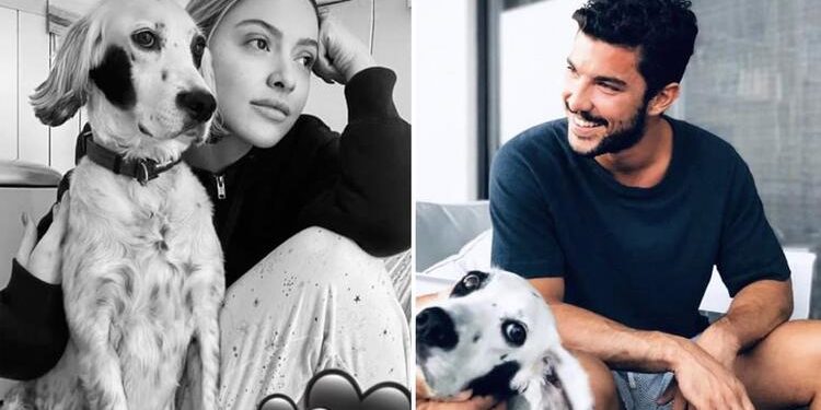 Hadise ile Kaan Yıldırım arasında sürpriz gelişme 1 Hadise ile Kaan Yıldırım arasında sürpriz gelişme