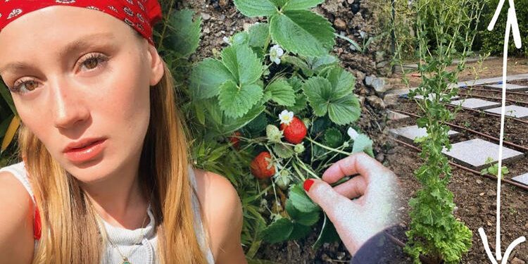 Gizem Karaca kendini tarıma verdi 1 Gizem Karaca kendini tarıma verdi