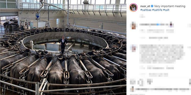 Nusret Gökçe mandaların içinde poz verdi! Tepki yağdı! 1 Nusret Gökçe mandaların içinde poz verdi! Tepki yağdı!