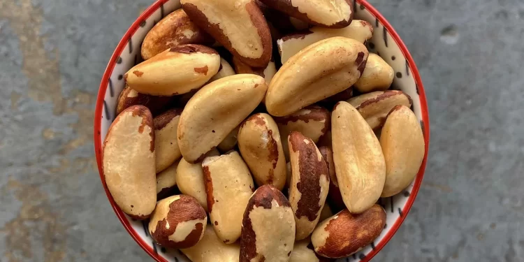 En iyi selenyum kaynağı Brezilya fındığı mıdır? 1 Selenyum besinlerden alınabildiği gibi gıda takviyelerinden de alınabilir. Peki, en güçlü selenyum kaynağı hangisidir?